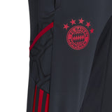 Adidas FC Bayern Condivo 22 Training Pants