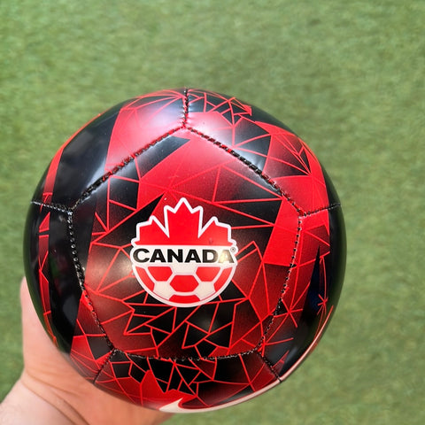 Nike Canada mini ball size: 1