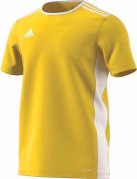 Entrada 18 Youth Jersey - Yellow